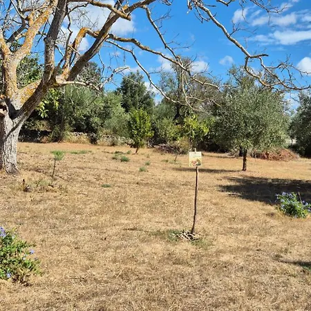 Il Paradiso Dei Nidi בית נופש