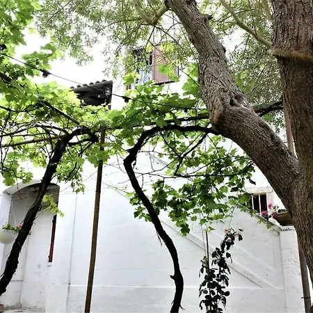 Il Paradiso Dei Nidi * ジョーイア・デル・コッレ