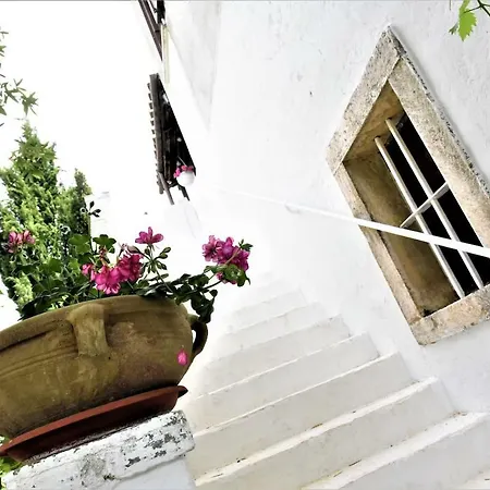 Il Paradiso Dei Nidi ג'ויה דל קולה