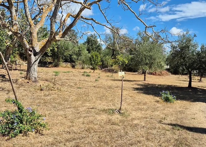 Il Paradiso Dei Nidi Tatil Evi