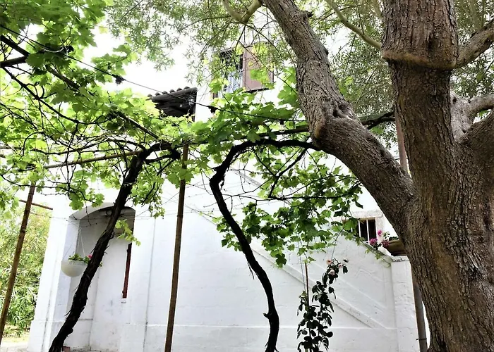 Il Paradiso Dei Nidi * Gioia Del Colle